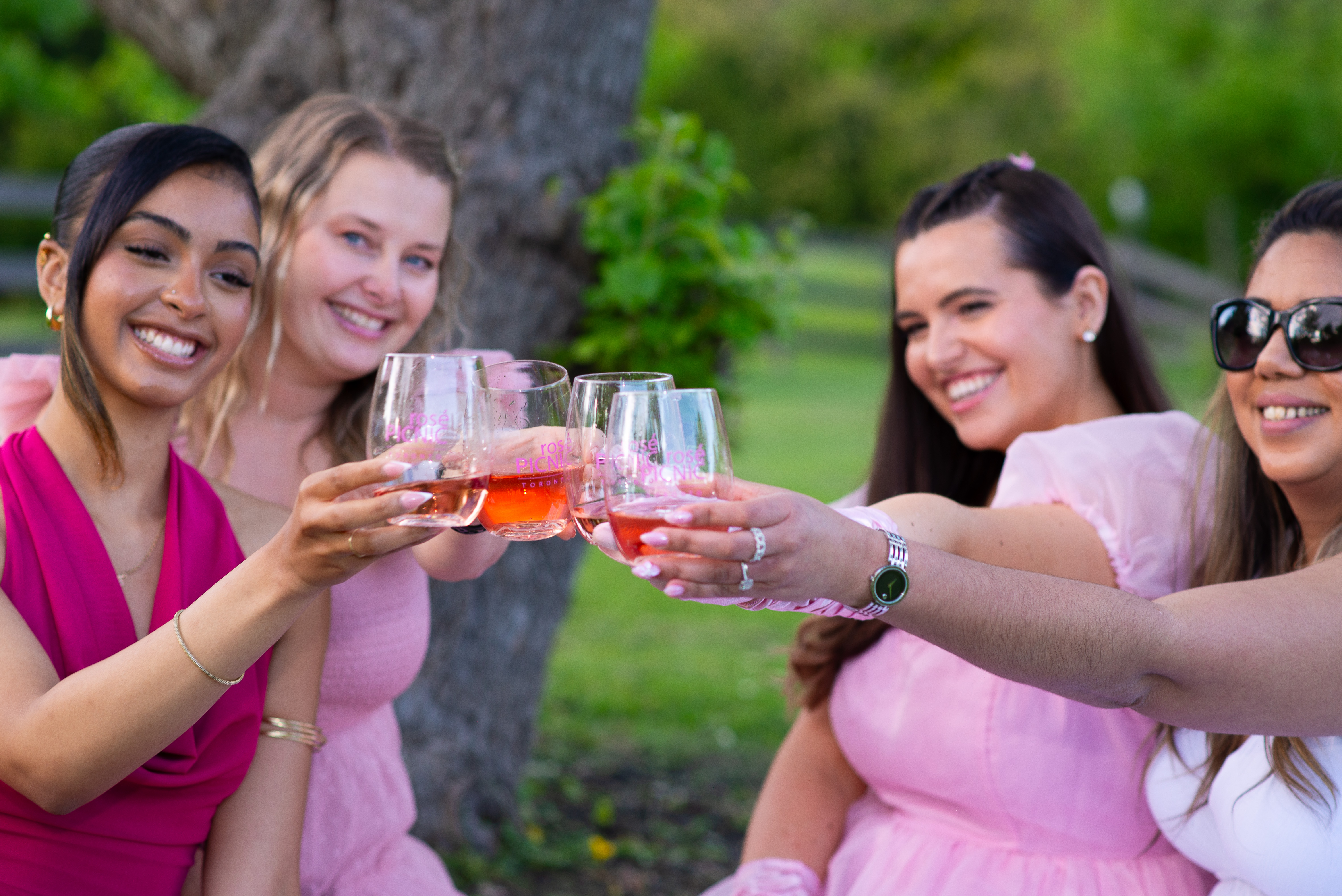 Rosé Picnic ambassador